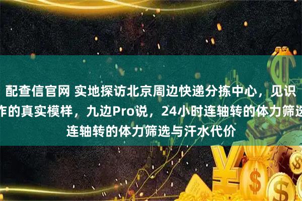 配查信官网 实地探访北京周边快递分拣中心，见识这份最苦工作的真实模样，九边Pro说，24小时连轴转的体力筛选与汗水代价
