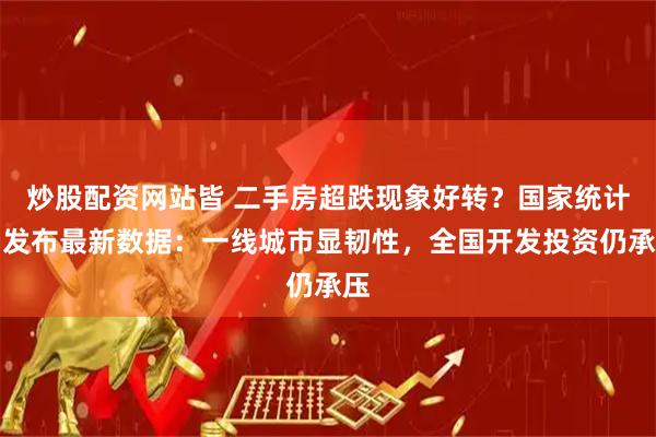 炒股配资网站皆 二手房超跌现象好转？国家统计局发布最新数据：一线城市显韧性，全国开发投资仍承压